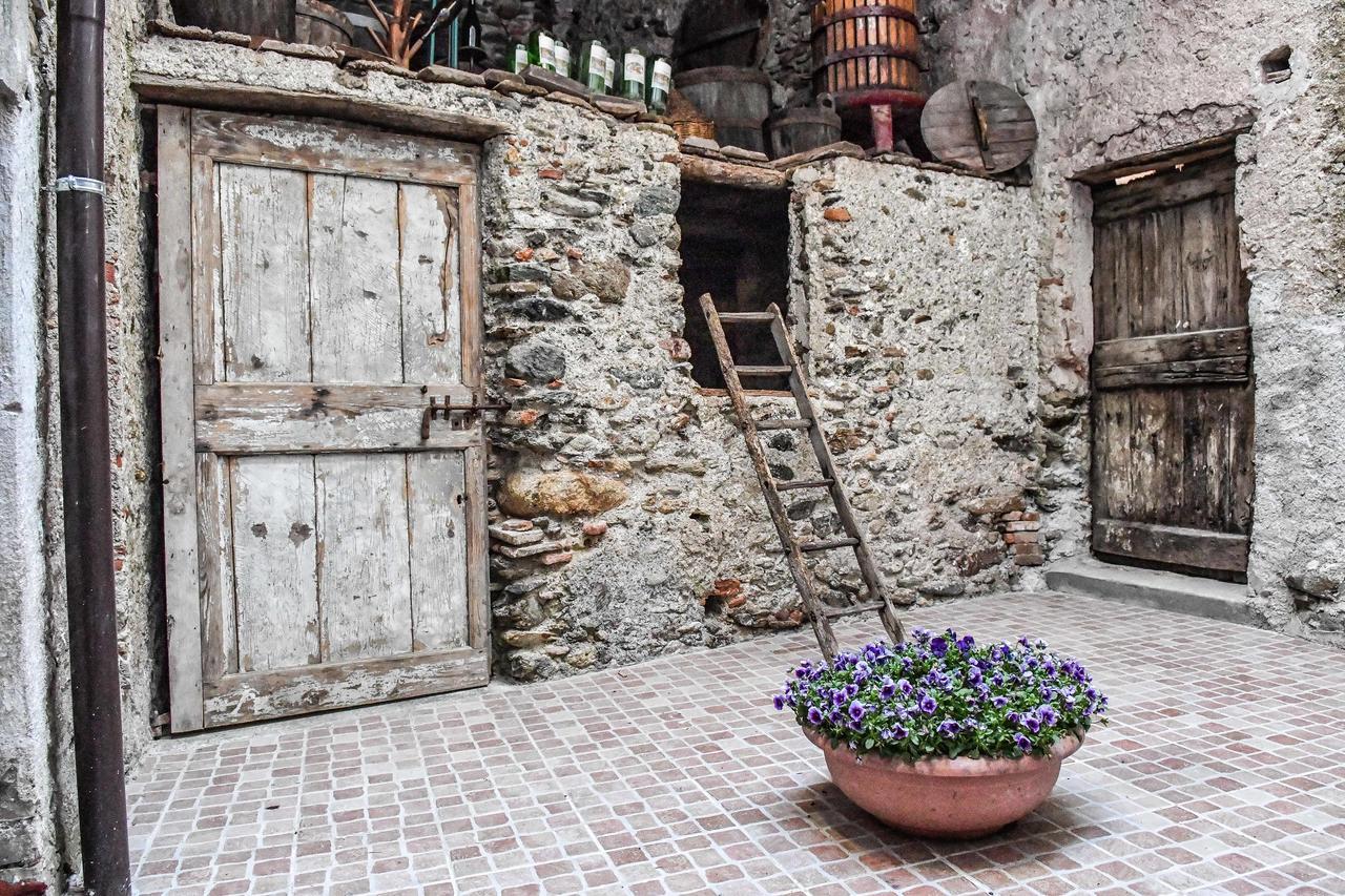La Terra Di Mingo Bed & Breakfast วาโด ลีกูเร ภายนอก รูปภาพ