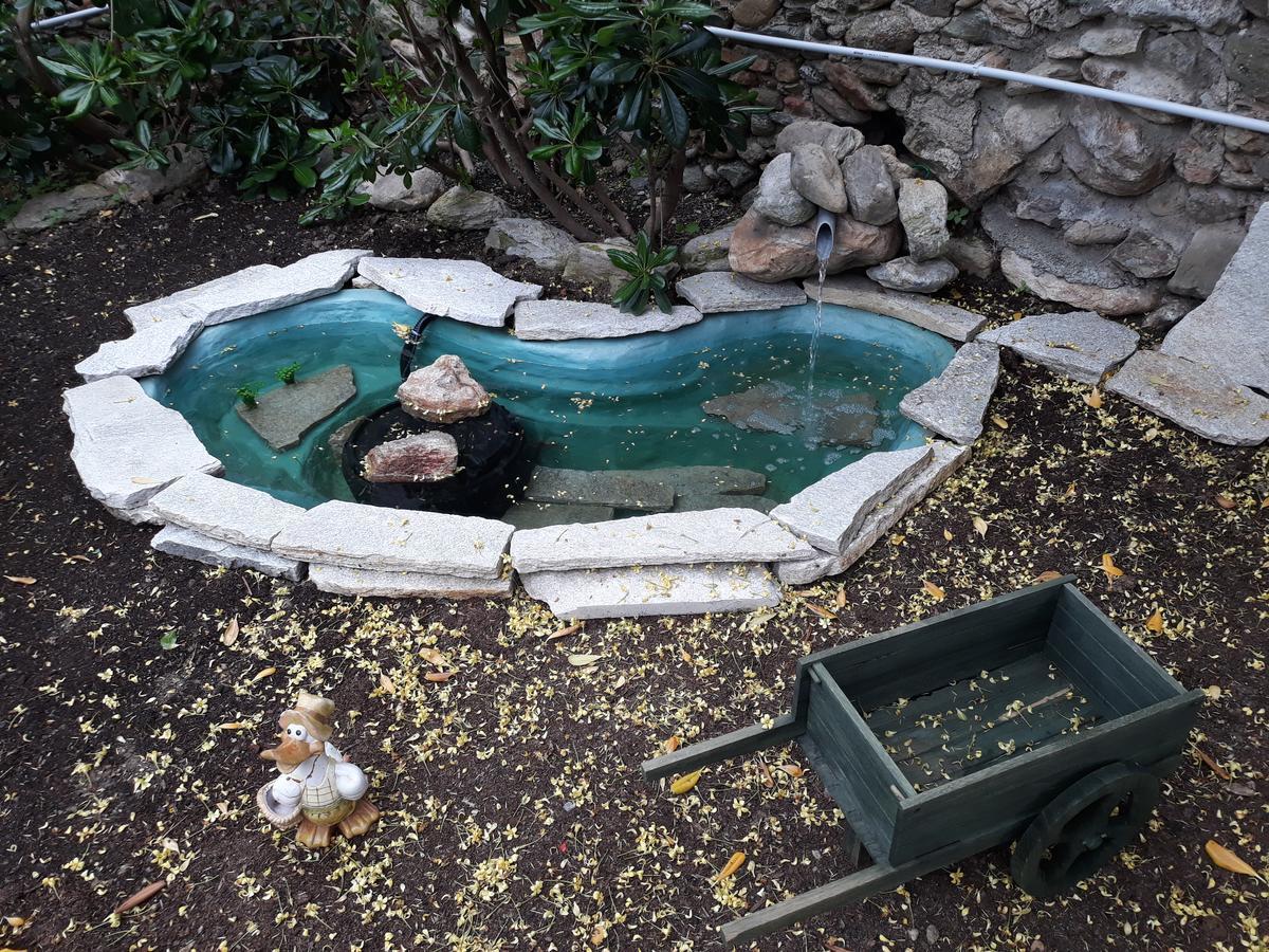 La Terra Di Mingo Bed & Breakfast วาโด ลีกูเร ภายนอก รูปภาพ